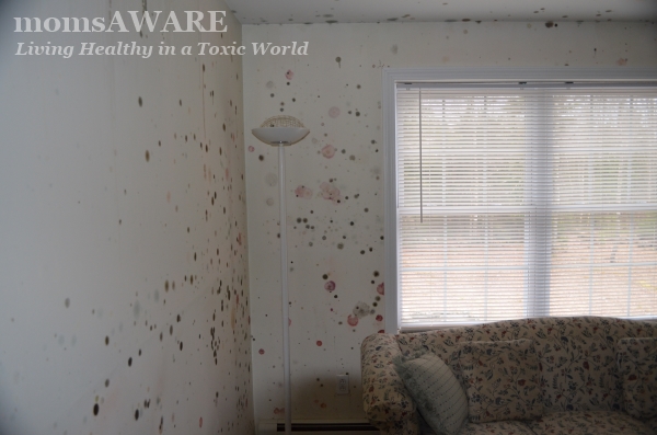 Mold Growth in Home