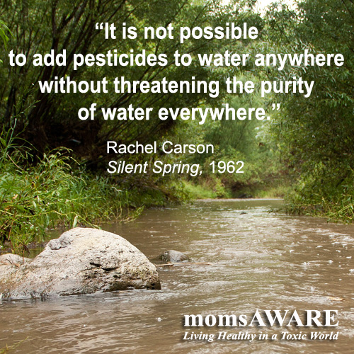 Photo Quote Water Purity